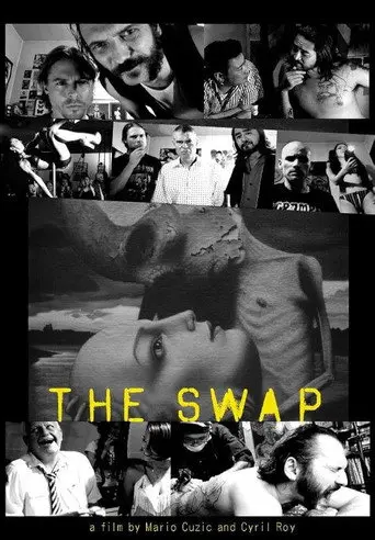 The Swap (2010)