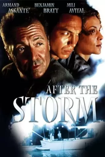 After The Storm (2001)