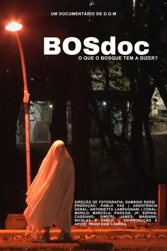 BOSdoc (2023)