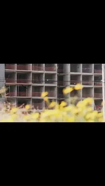 Aztecas 215 (2024)