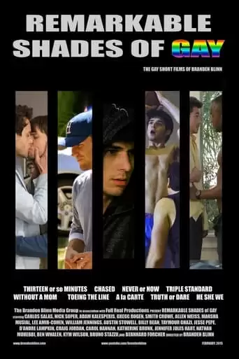 Remarkable Shades Of Gay (2015)