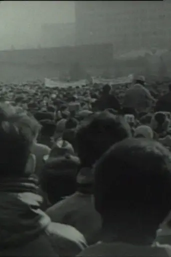 Chronicle of an Undeclared Demonstration (1991)