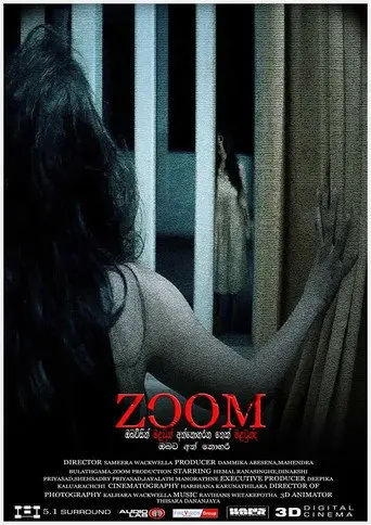 ZOOM (2016)
