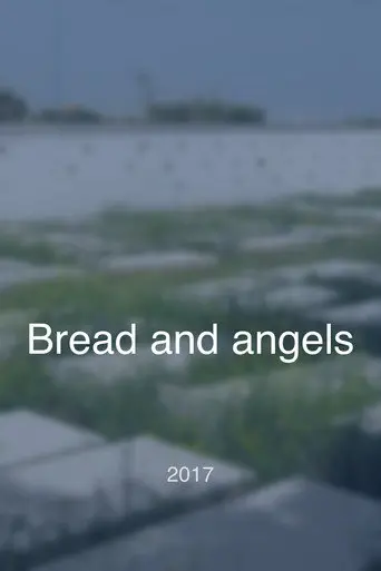 Bread and angels (2017)
