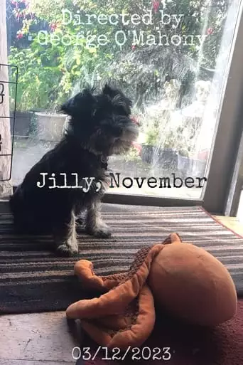 Jilly, November (2023)