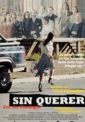 Sin querer (1997)