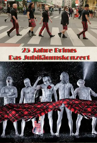 25 Jahre Brings - Das Jubiläumskonzert (2016)
