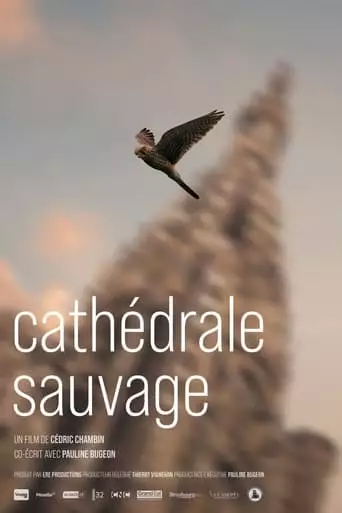 Cathédrale sauvage (2022)