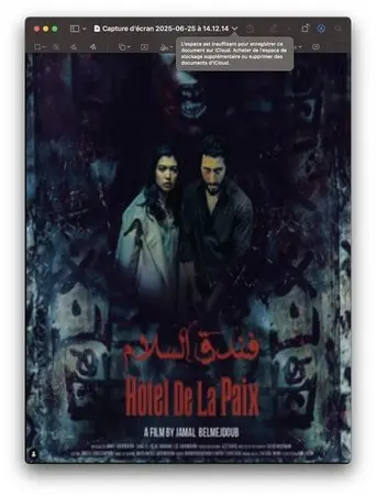 Hôtel de la Paix (2025)