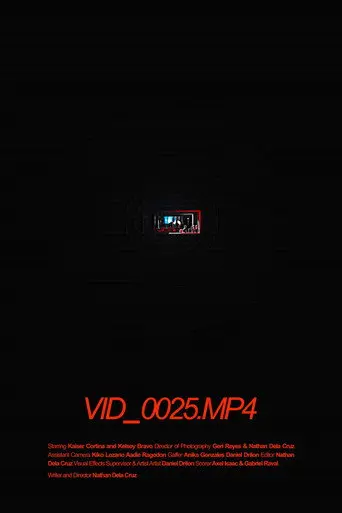 VID_0025.MP4 (2025)