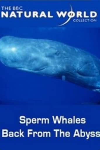 Sperm Whales Back From The Abyss (1996)
