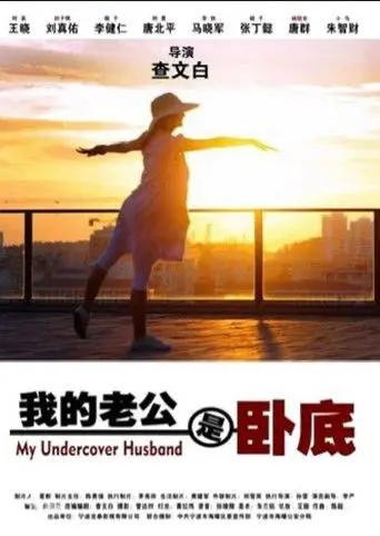 我的老公是卧底 (2014)