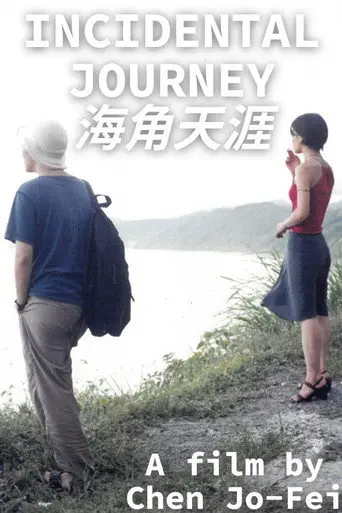 Incidental Journey (2000)