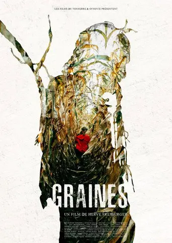 Graines (2018)