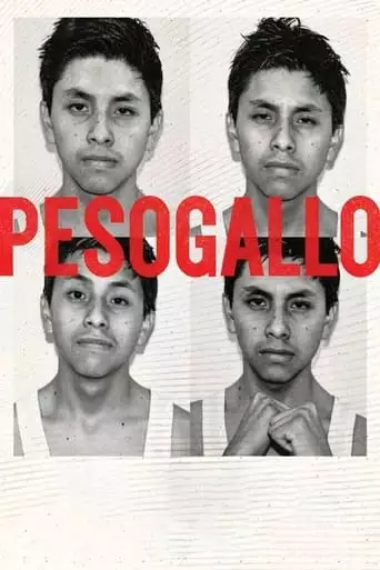 Peso Gallo (2022)