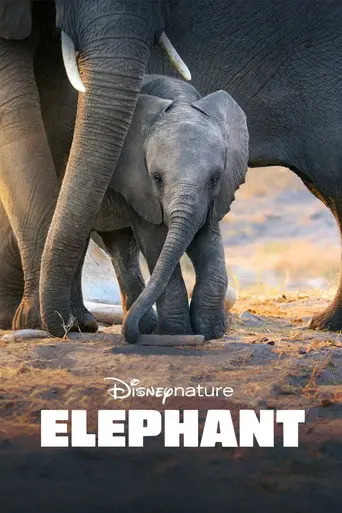 Elephant (2020)