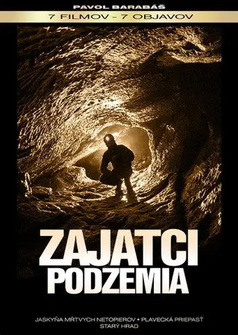 Zajatci podzemia (2012)