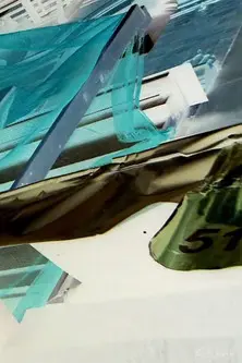 Natural Collage (2020)