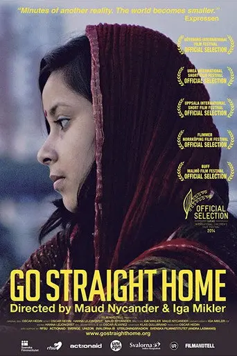 Go Straight Home (2013)
