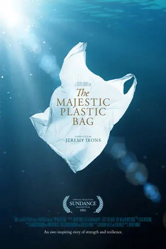 The Majestic Plastic Bag (2010)