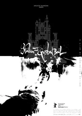 Stallion and a Crystal Ball (2026)