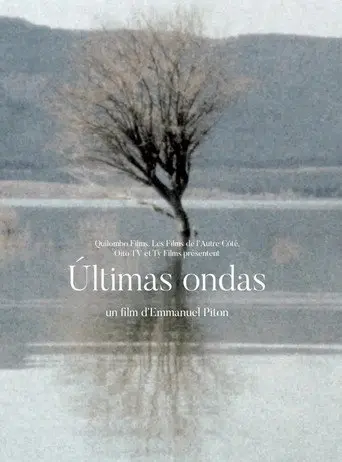 Últimas ondas (2019)