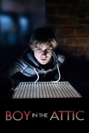 Secrets in the Attic (2016)