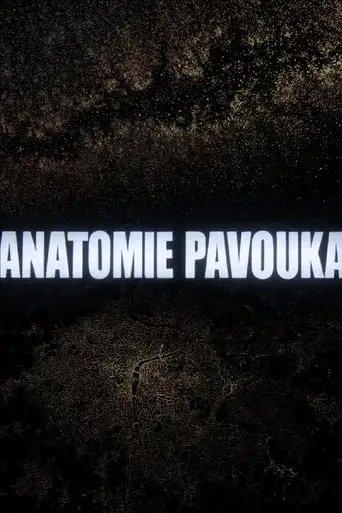 Anatomy of a Spider (2015)