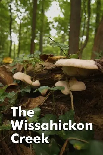 The Wissahickon Creek (2018)