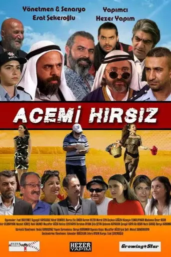 Acemi Hırsız (2018)