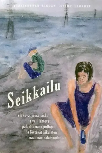 Seikkailu (2011)