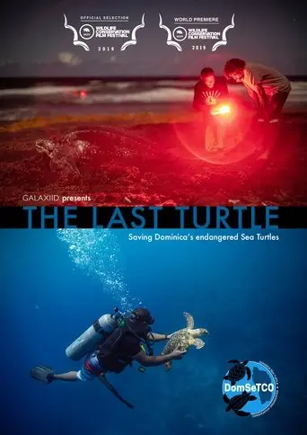 The Last Turtle (2019)