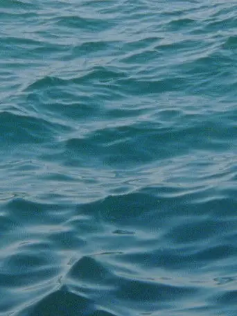 Water Diary (2026)