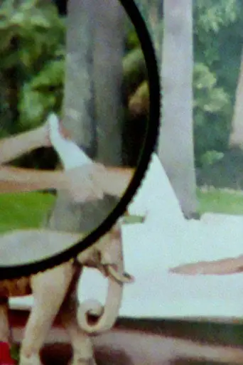 La veglia (2010)