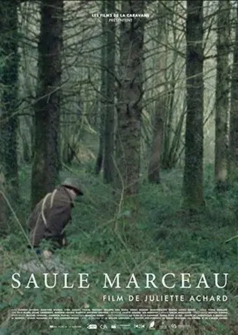 Saule Marceau (2017)