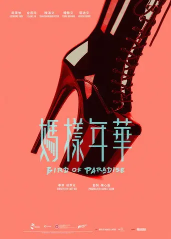 Bird of Paradise (2026)