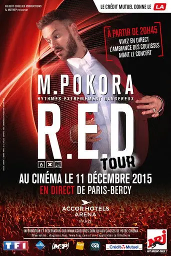 M Pokora - Red Tour (2015)