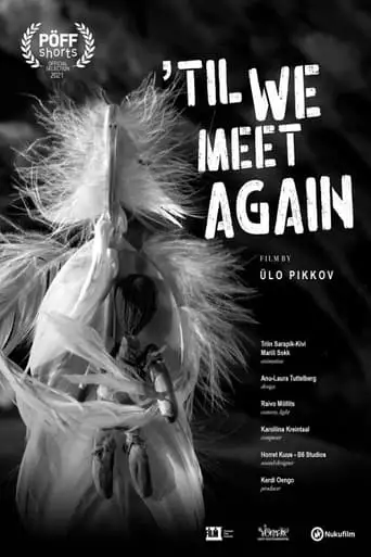 Till We Meet Again (2021)