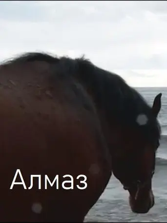 Almaz (2013)