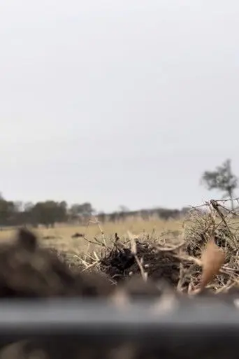 Fourth of July (2024)