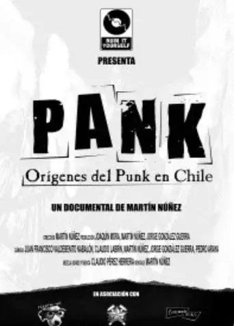 Pank : Origins of Punk Music in Chile (2010)