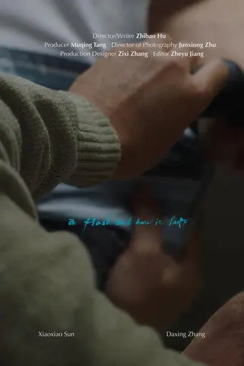 A Flash and How It Lasts (2026)