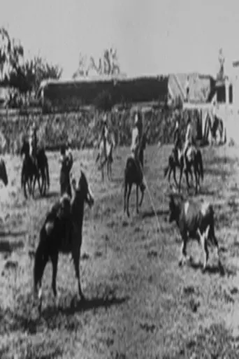 Lassage d'un boeuf sauvage (1896)