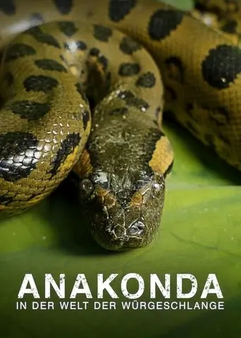 Anaconda: Silent Killer (2014)