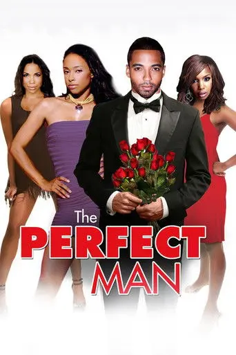 The Perfect Man (2011)