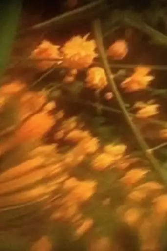 Preghiera n. 7 - Qual è la Mia Casa (Polittico di Primavera) (2005)