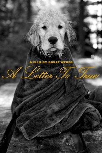 A Letter To True (2004)