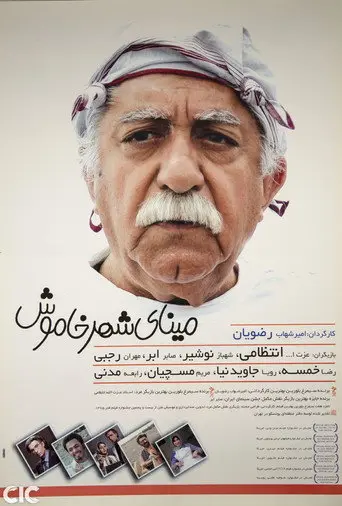 Colors of Memory (2008)