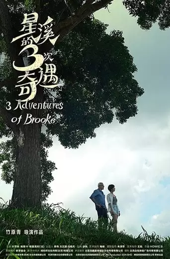 Three Adventures Of Brooke (2019)