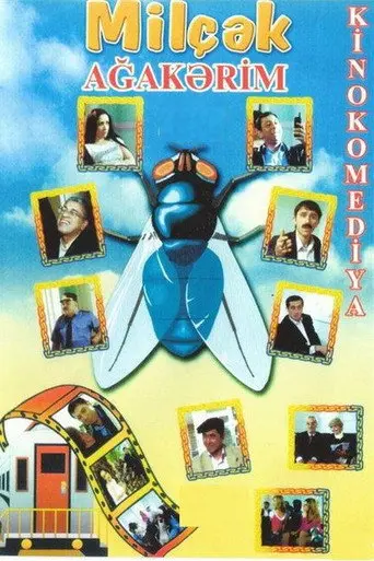 Fly (2006)